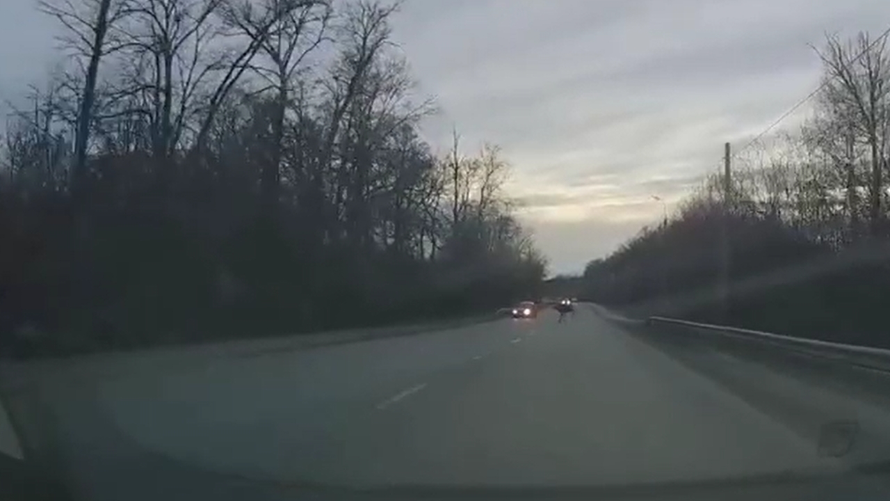 Video thumbnail for Close Call: Moose Nearly Hits Car in Penza