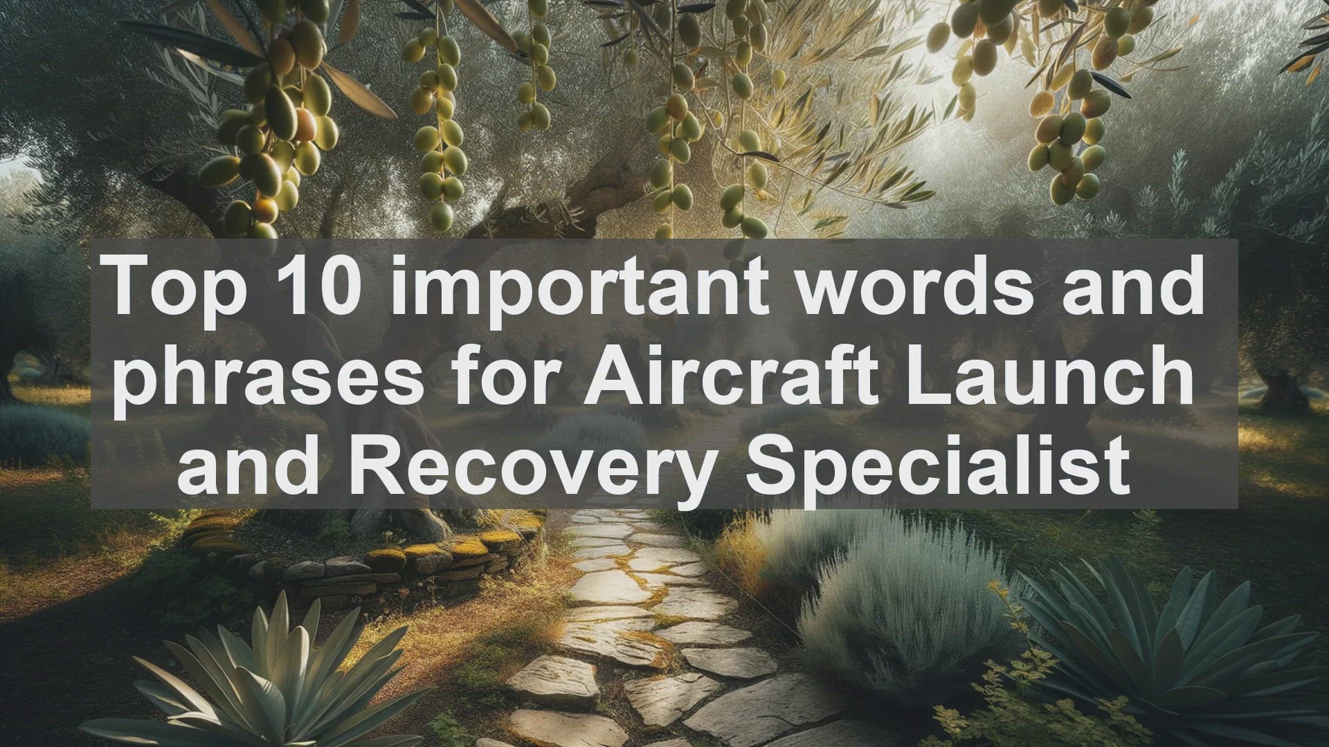 'Video thumbnail for Top 10 important words and phrases for Aircraft Launch and Recovery Specialist'