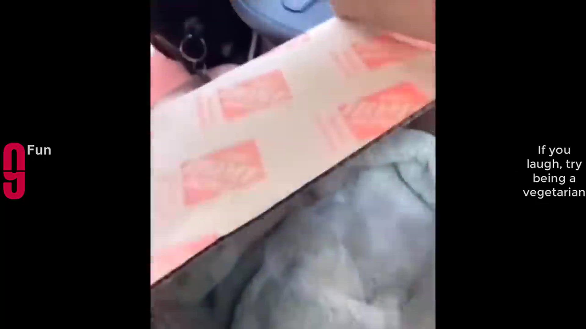 Video thumbnail for TRY NOT TO LAUGH ? Best Funny Videos Compilation ??? Memes PART 141 (1)