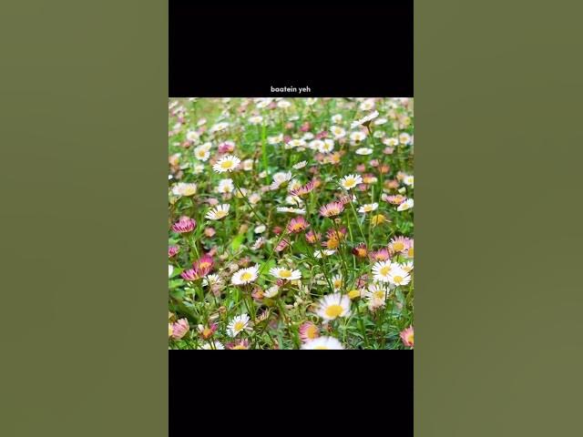 'Video thumbnail for I need vitamin u 8'