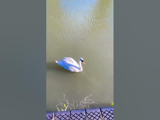 Video thumbnail for 12 July 2024