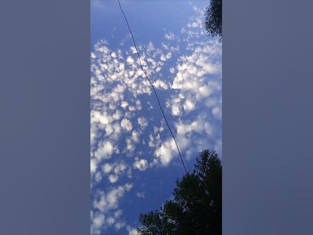 Video thumbnail for mazhar #love