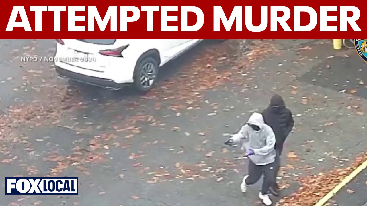 Video thumbnail for Son of former NY police official in court for attempted murder charges