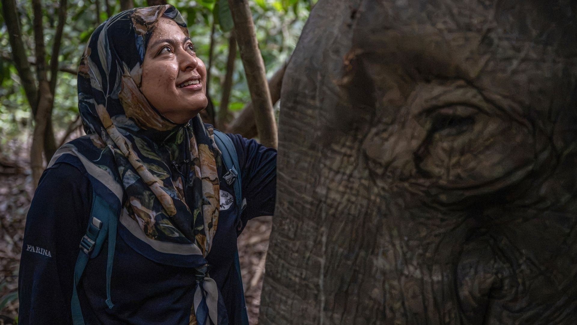 Video thumbnail for Malaysia’s elephant whisperer fights to save Borneo’s endangered gentle giants