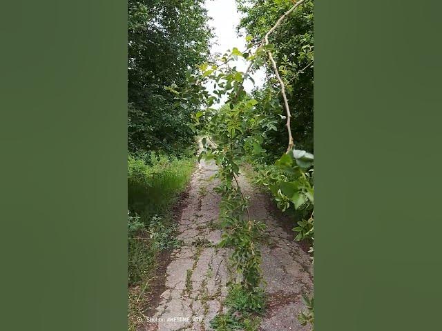 Video thumbnail for ❤️❤️❤️❤️ #nature #walk #walking #walkwalkwalk #naturelovers