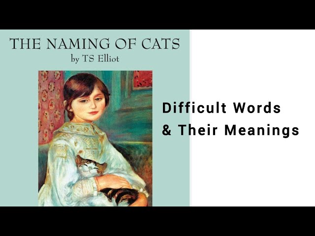 Video thumbnail for The Naming of Cats| Poem by T.S.Eliot| New Oxford Modern English| The Naming of Cats Vocabulary