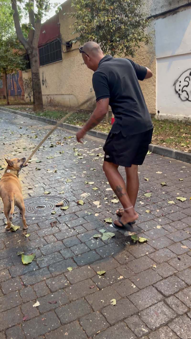 Video thumbnail for Sticky Sidewalk Traps Flip Flops on a Dog Walk in Huelva