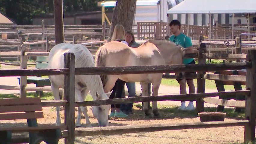 Video thumbnail for Northwell Health and Pal-O-Mine Equestrian team up to host a day of wellness for cancer survivors