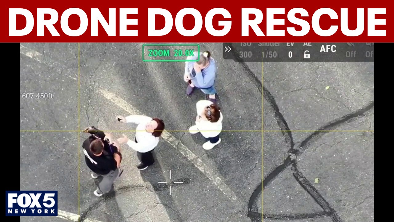 Video thumbnail for Dog rescued by drone during nor'easter, marking 154 dogs saved and counting