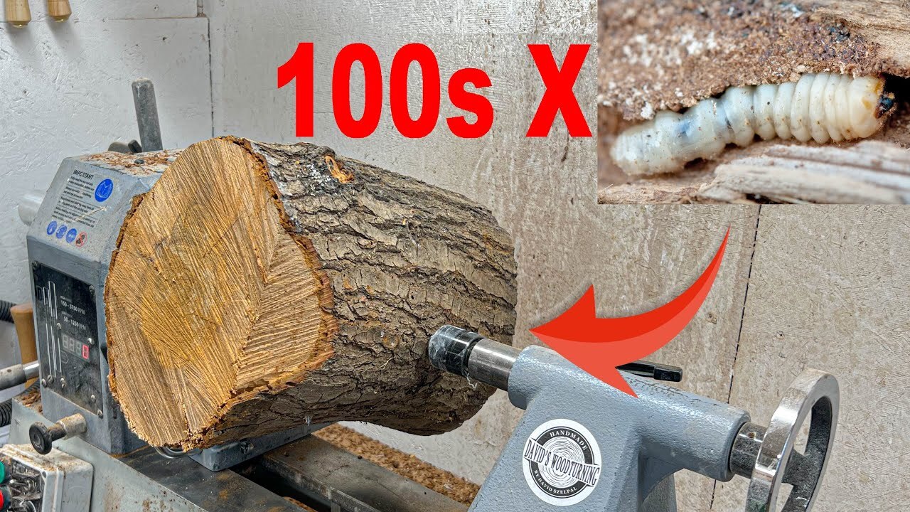 Video thumbnail for I wood turned this WOODWORM infested oak log into ART