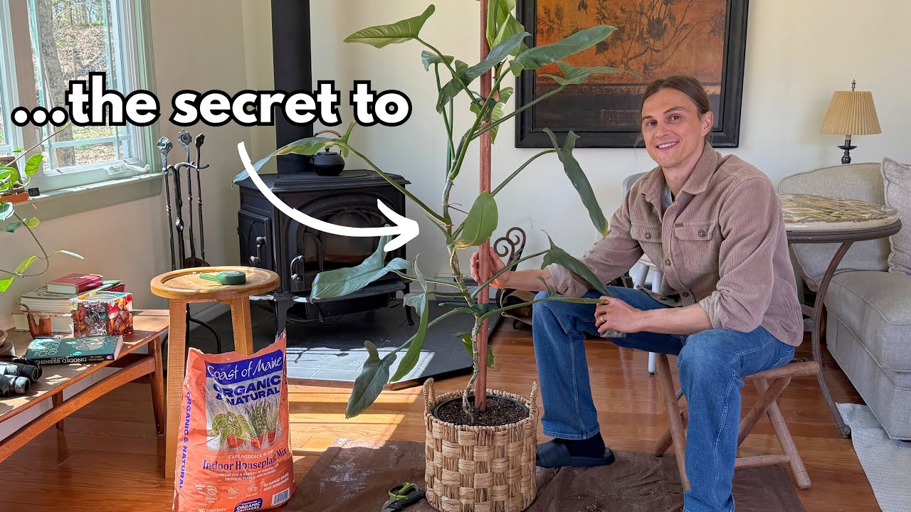 Video thumbnail for Great Potting Soil - The Difference between Thriving and Failing Plants