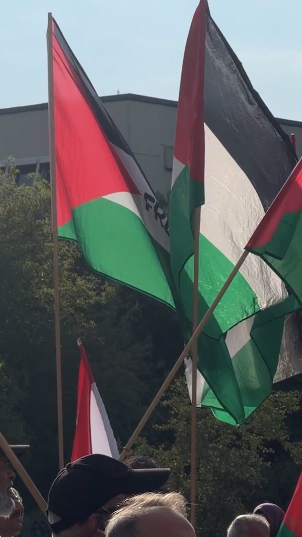 Video thumbnail for Berlin protesters rally for days calling for stronger stance against Israel