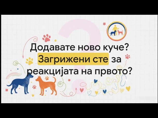 Video thumbnail for Како да донесете дома ново куче без љубомора од првото?