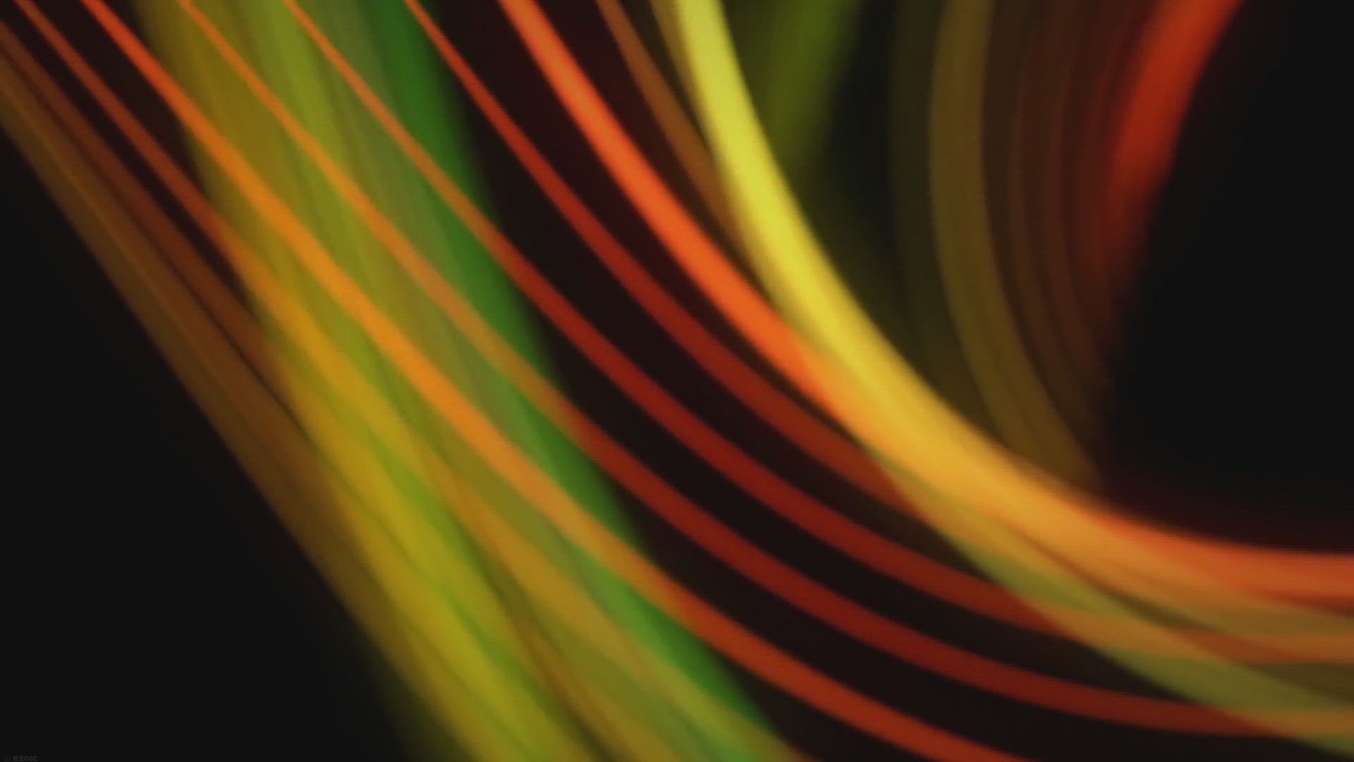 Video thumbnail for Lory and Lorikeet Care Sheet