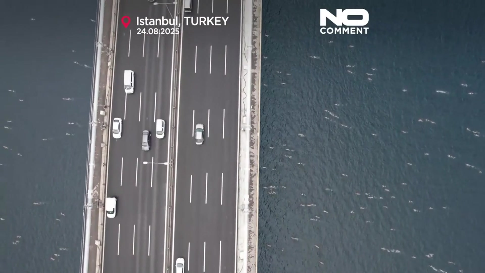 'Video thumbnail for More than 2,800 swimmers cross continents in Istanbul’s Bosphorus event'