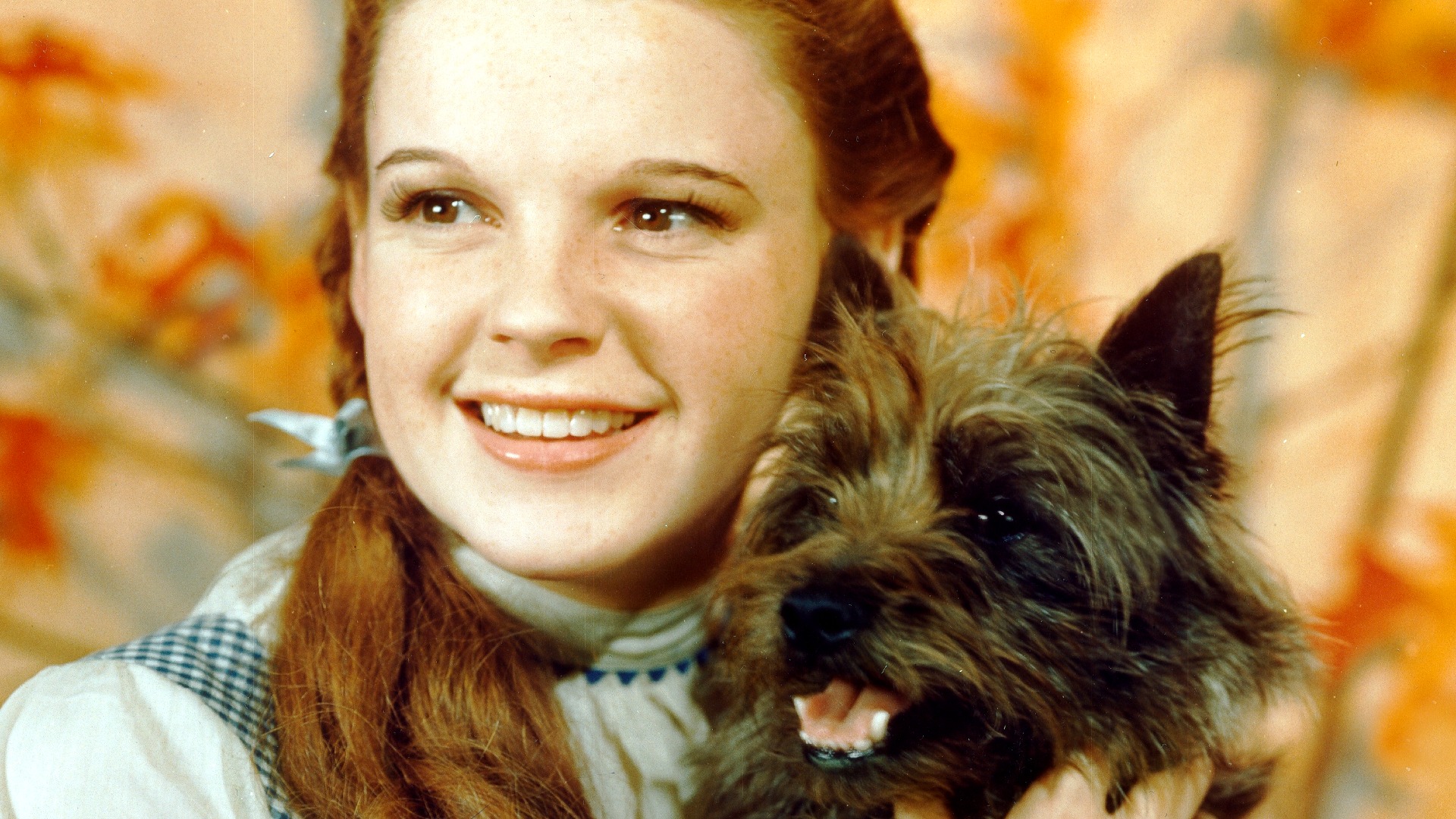 Video thumbnail for Animals That Got Paid More Than The Actors