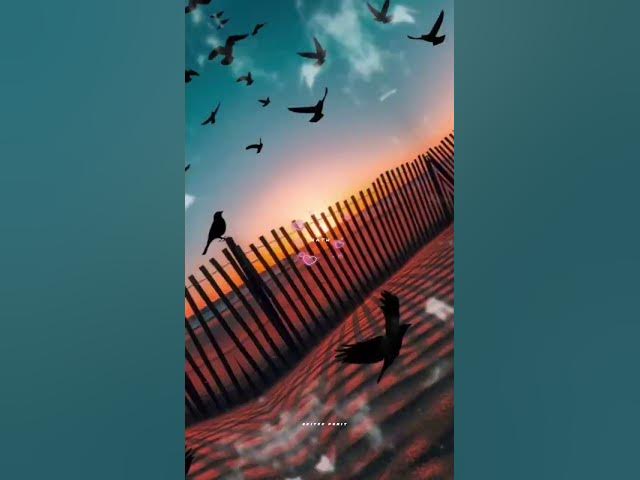 Video thumbnail for ❤️❤️❤️