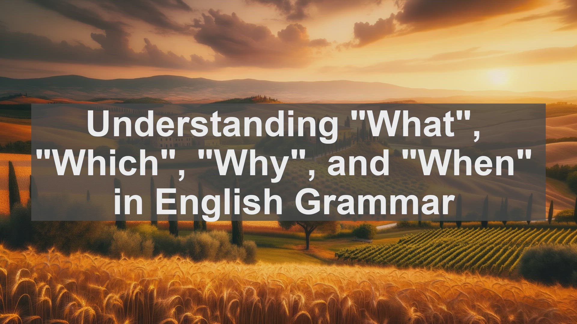'Video thumbnail for Understanding What Which Why and When in English Grammar'