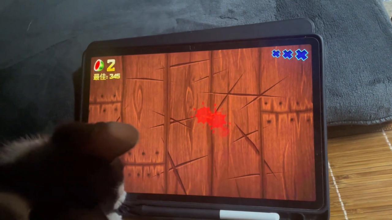 Video thumbnail for China: Chinese cat plays fruit-cutting game on computer screen.