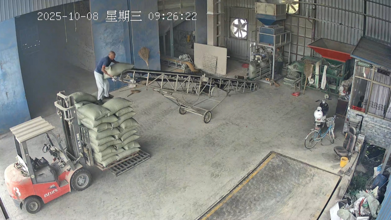 Video thumbnail for Man Falls as Stack of Sacks Collapses in Jiangsu Warehouse