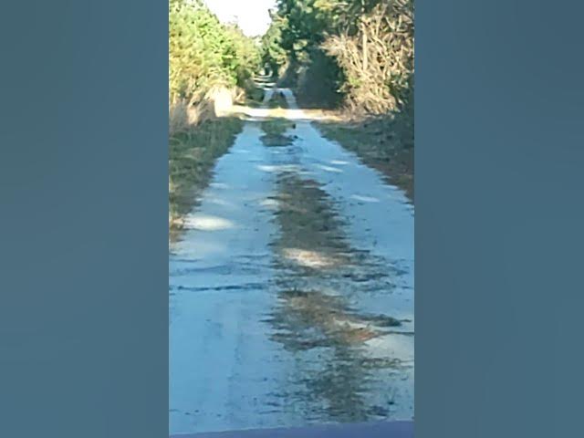 Video thumbnail for April 16, 2025