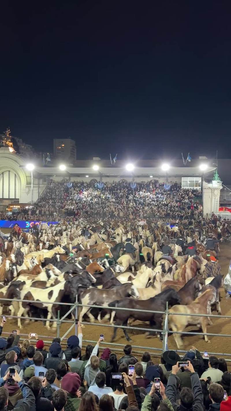 Video thumbnail for Entrevero de Tropillas at the Palermo Rural Expo Night Show