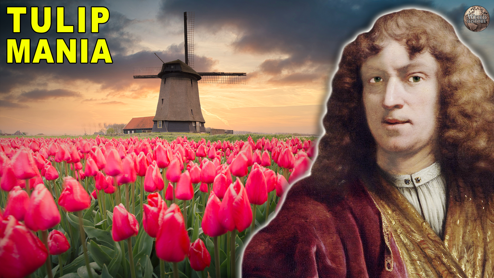 Video thumbnail for How a Random Flower Became the Bitcoin of the 1600s