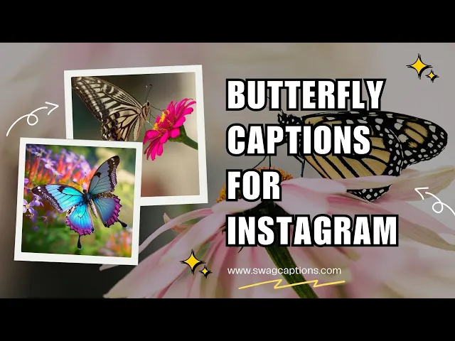 Video thumbnail for Butterfly Captions for Instagram