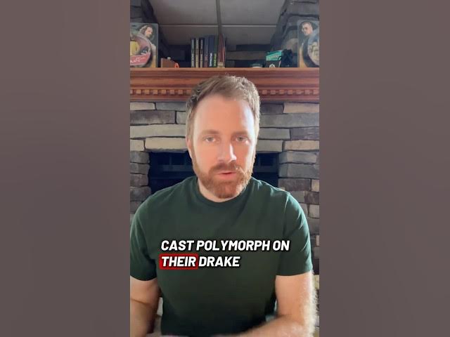 Video thumbnail for Polymorph on the DnD drakewarden ranger’s pet drake looks a lot like Wild Shape