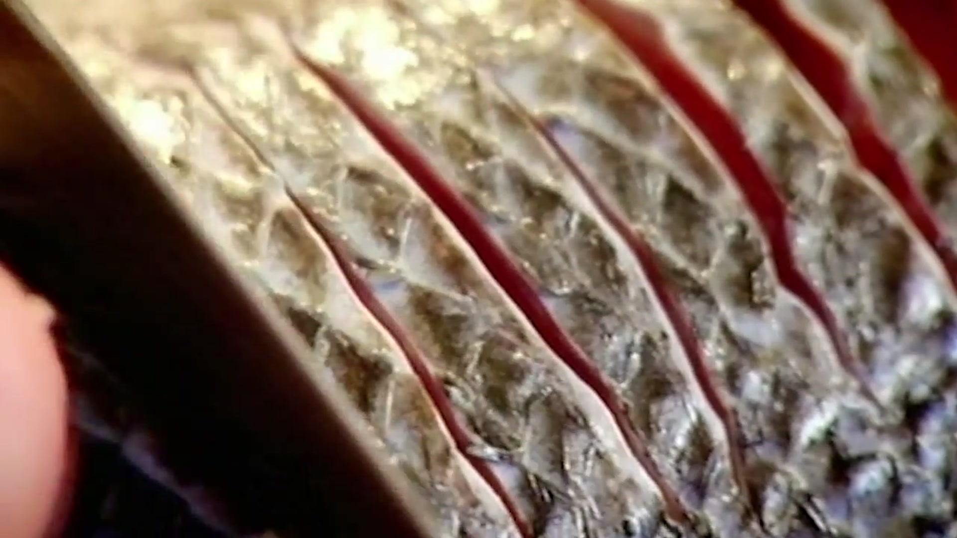 Video thumbnail for Gordon Ramsay's Sea Bass With Sorrel Sauce Recipe ¦ The F Word (720p 25fps)