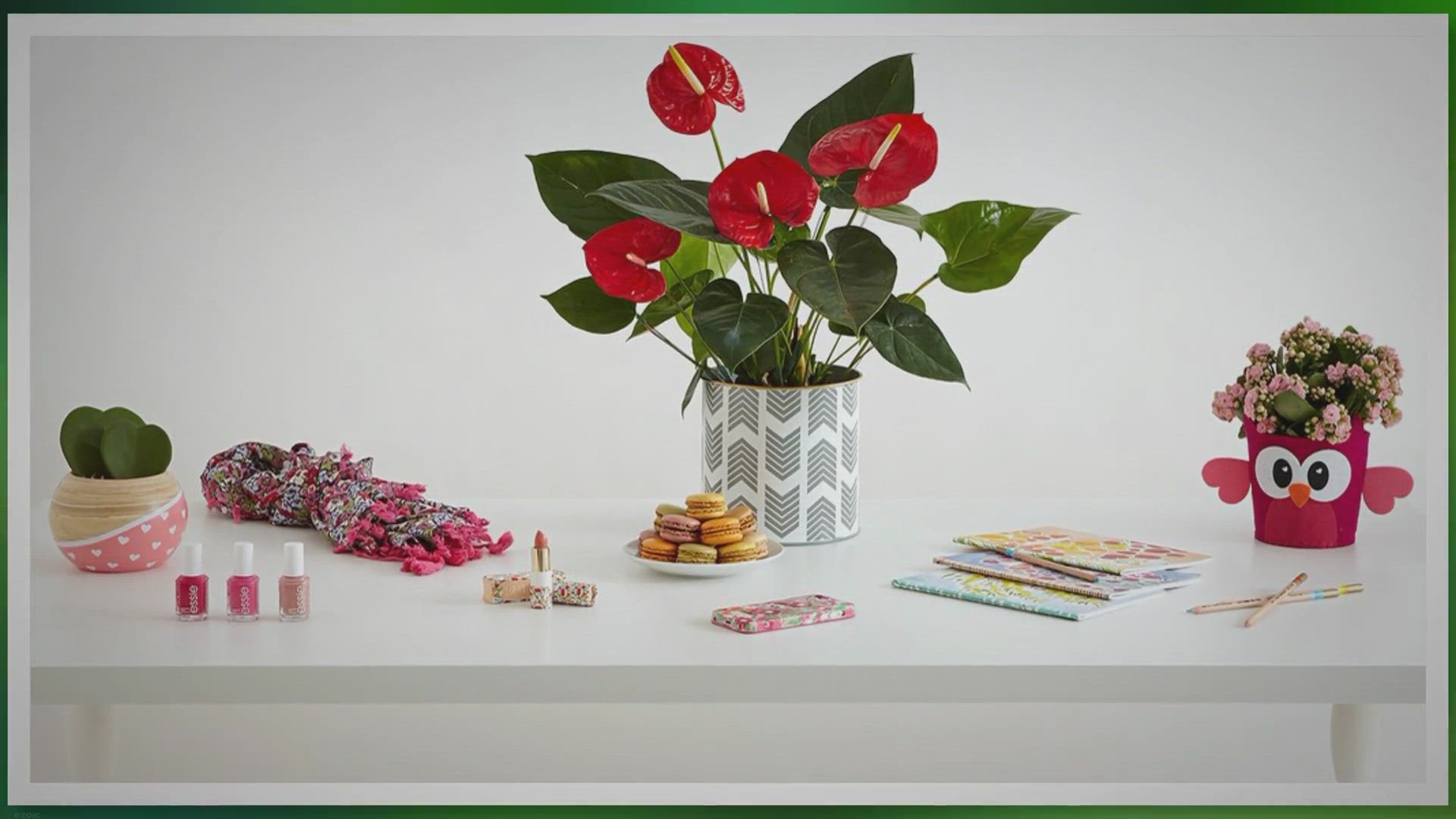 'Video thumbnail for How to Easily Take the Best Care of Your Anthurium'