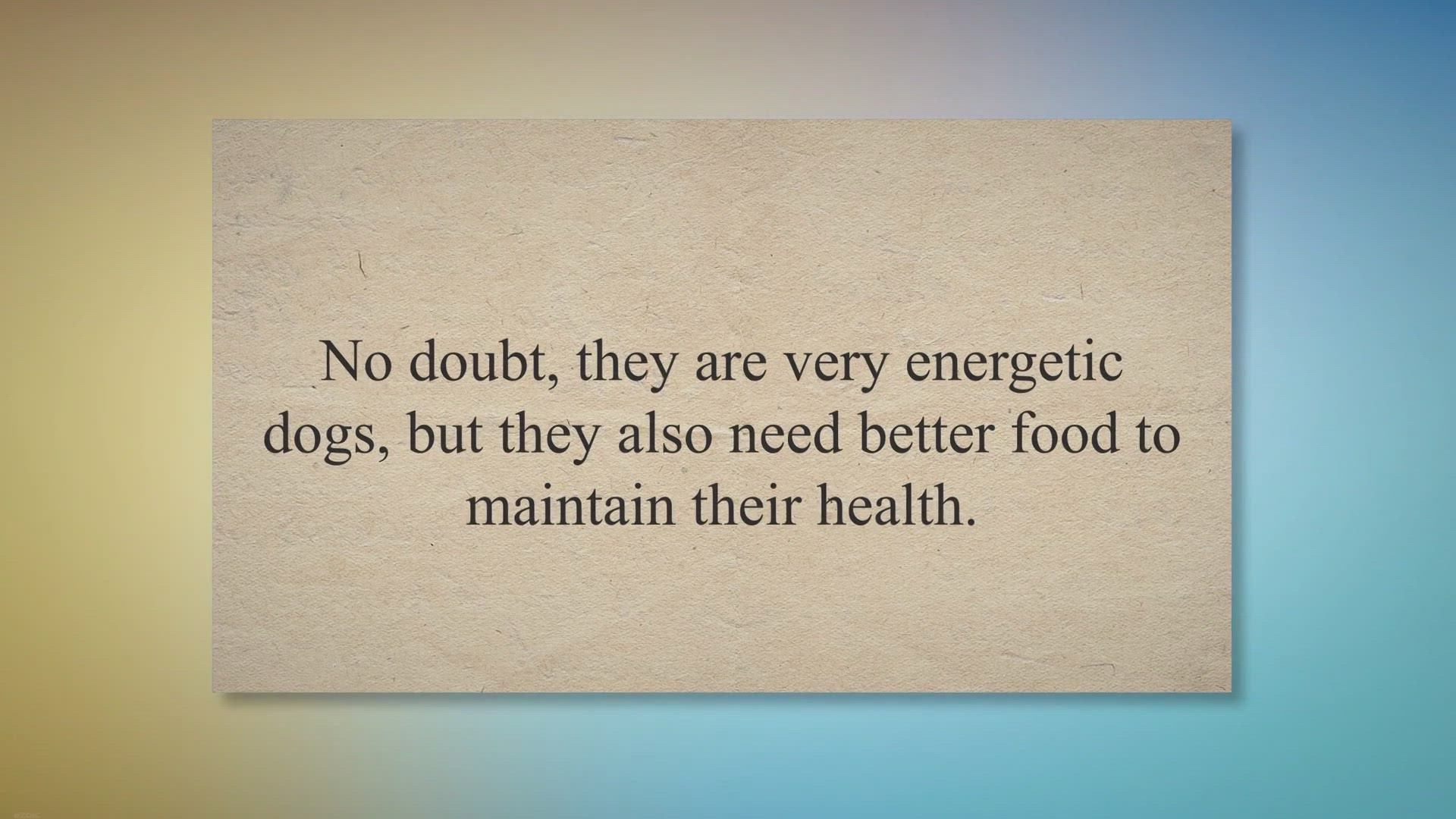 Video thumbnail for 10 Best Dog Foods for Border collies in 2023