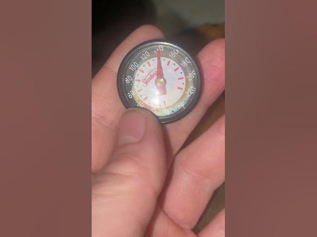 Video thumbnail for I never check when the oven is working right 😂 #SafeInternalTemp #Cooking #ChickenPatties #Group7