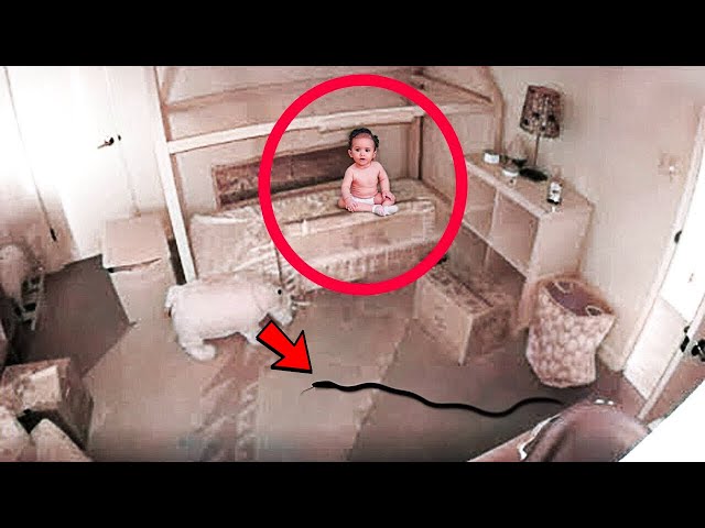 Video thumbnail for Mom Is Worried How Baby Keeps Disappearing From Crib, So She Installs A Security Camera To Find Out