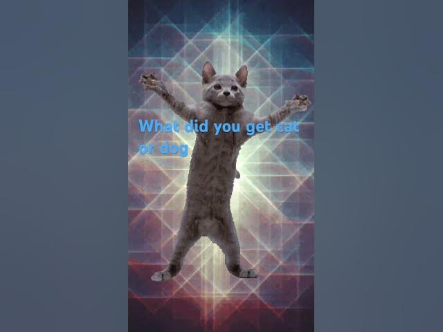 Video thumbnail for What did you get when you liked #cat #dog