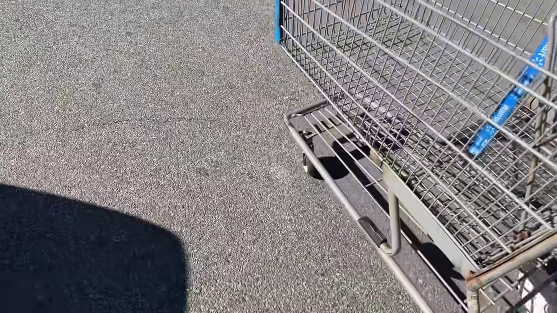 Video thumbnail for Momma starts planning Thanksgiving dinner 😳(720P HD)