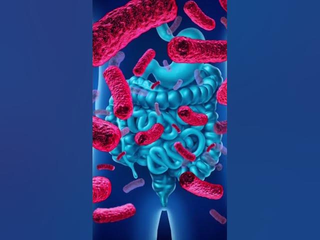 Video thumbnail for "LA GASTRITIS: UNA INFLAMACIÓN QUE PUEDE AFECTAR TU CALIDAD DE VIDA"