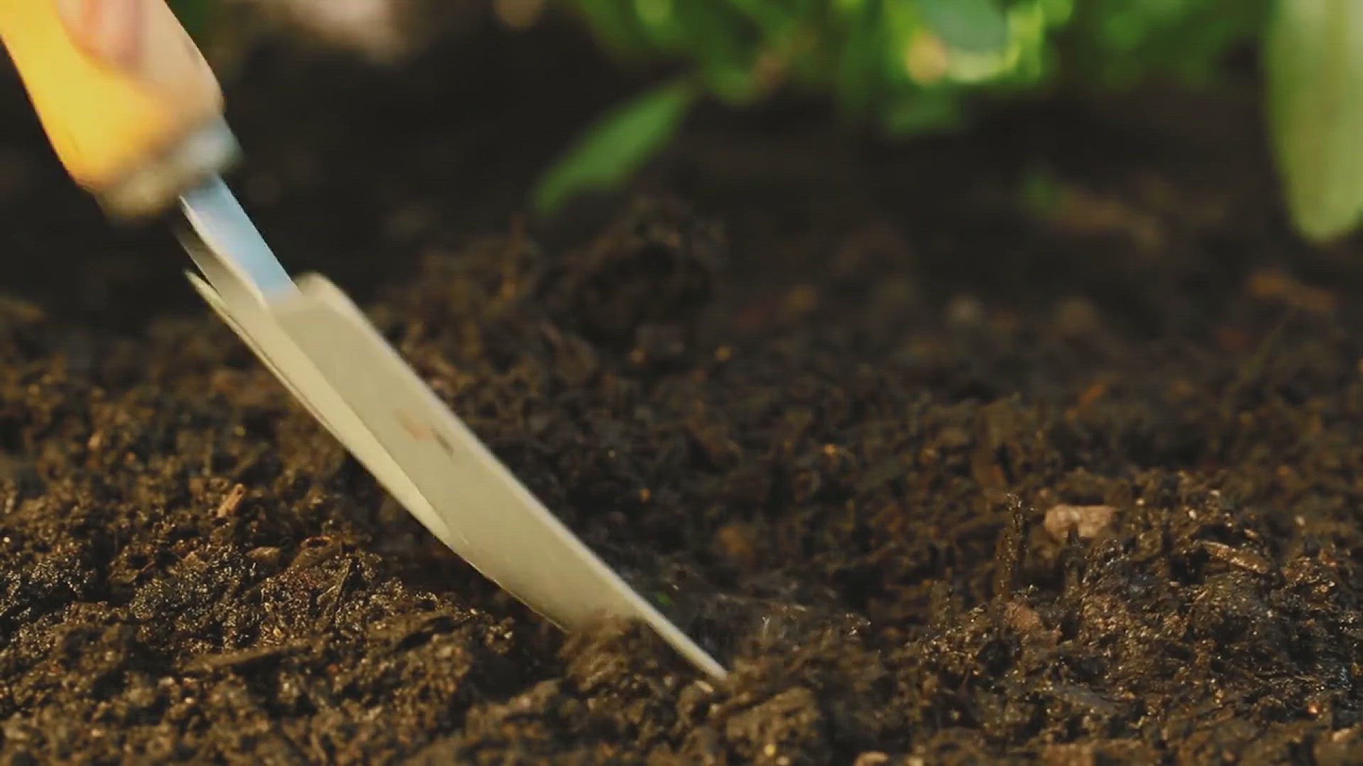 'Video thumbnail for How to Remove Rocks from Soil'