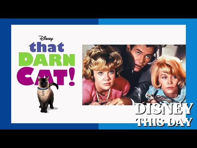 Video thumbnail for That Darn Cat | DISNEY THIS DAY | December 2, 1965