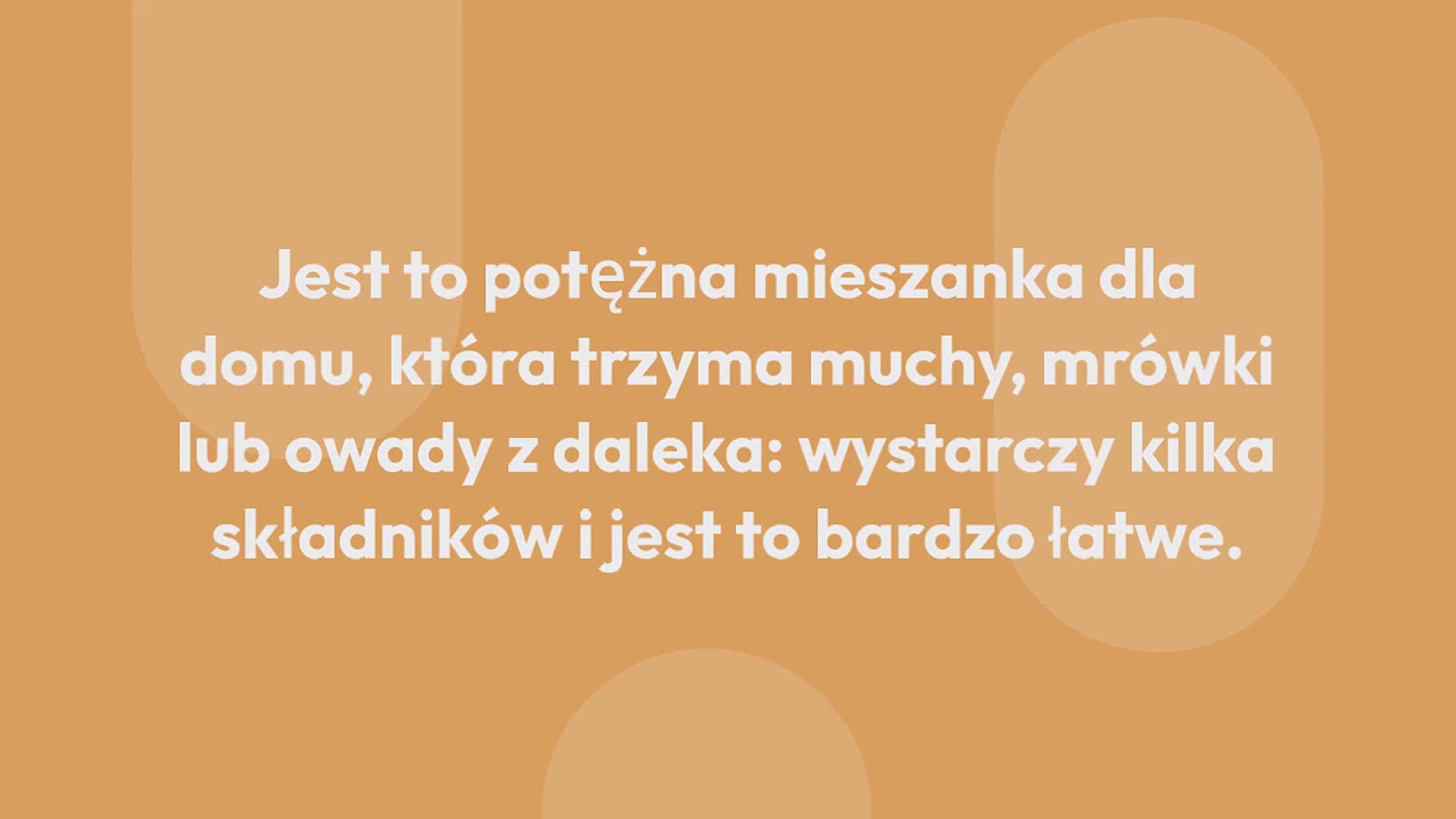 Video thumbnail for Muchy, owady i mrówki już nigdy nie postawią stopy w twoim domu: potężna mieszanka