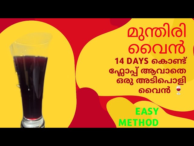 Video thumbnail for 14 ദിവസം കൊണ്ട് ഫ്ലോപ്പ് ആവാതെ ഒരു അടിപൊളി മുന്തിരി വൈൻ 🍷 ഉണ്ടാക്കിയാലോ | wine #wine