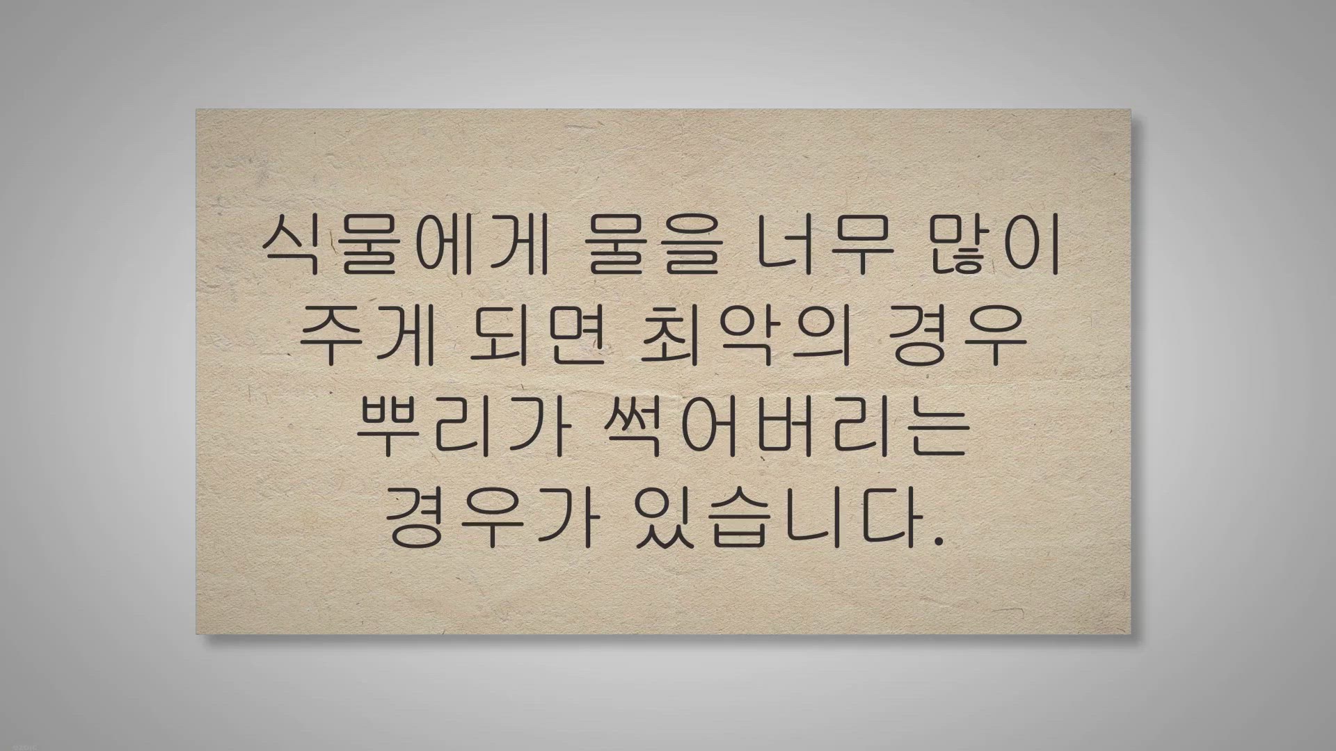 Video thumbnail for 식물 과습 증상이 보이면 어떻게 해야 할까요?