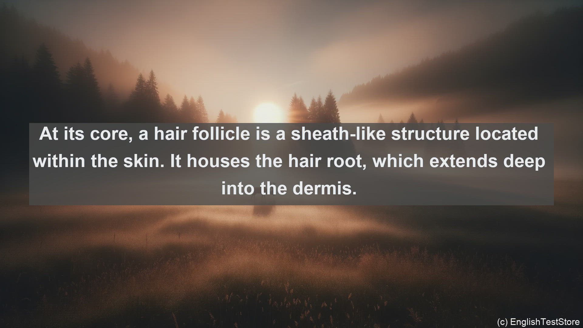 'Video thumbnail for Hair follicle in science  definition and examples'