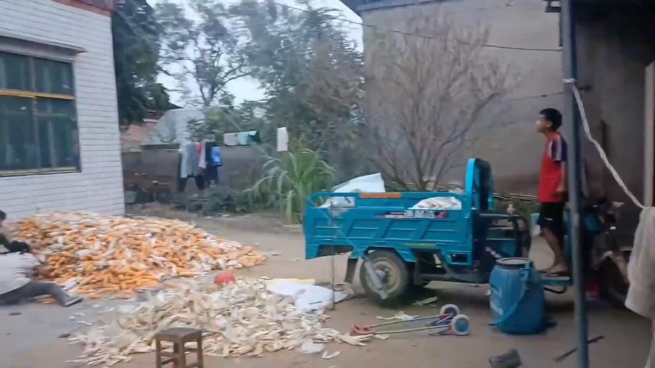 Video thumbnail for China: Self-made hoist on electric tricycle for corn transport.
