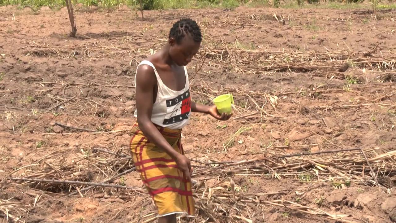 Video thumbnail for Kenya: Climate change strains food supply in Kenya.
