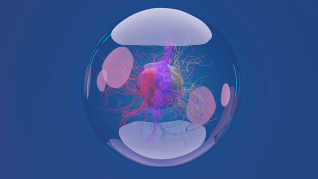 Video thumbnail for The most transformative thing you can do for your brain isn’t mental