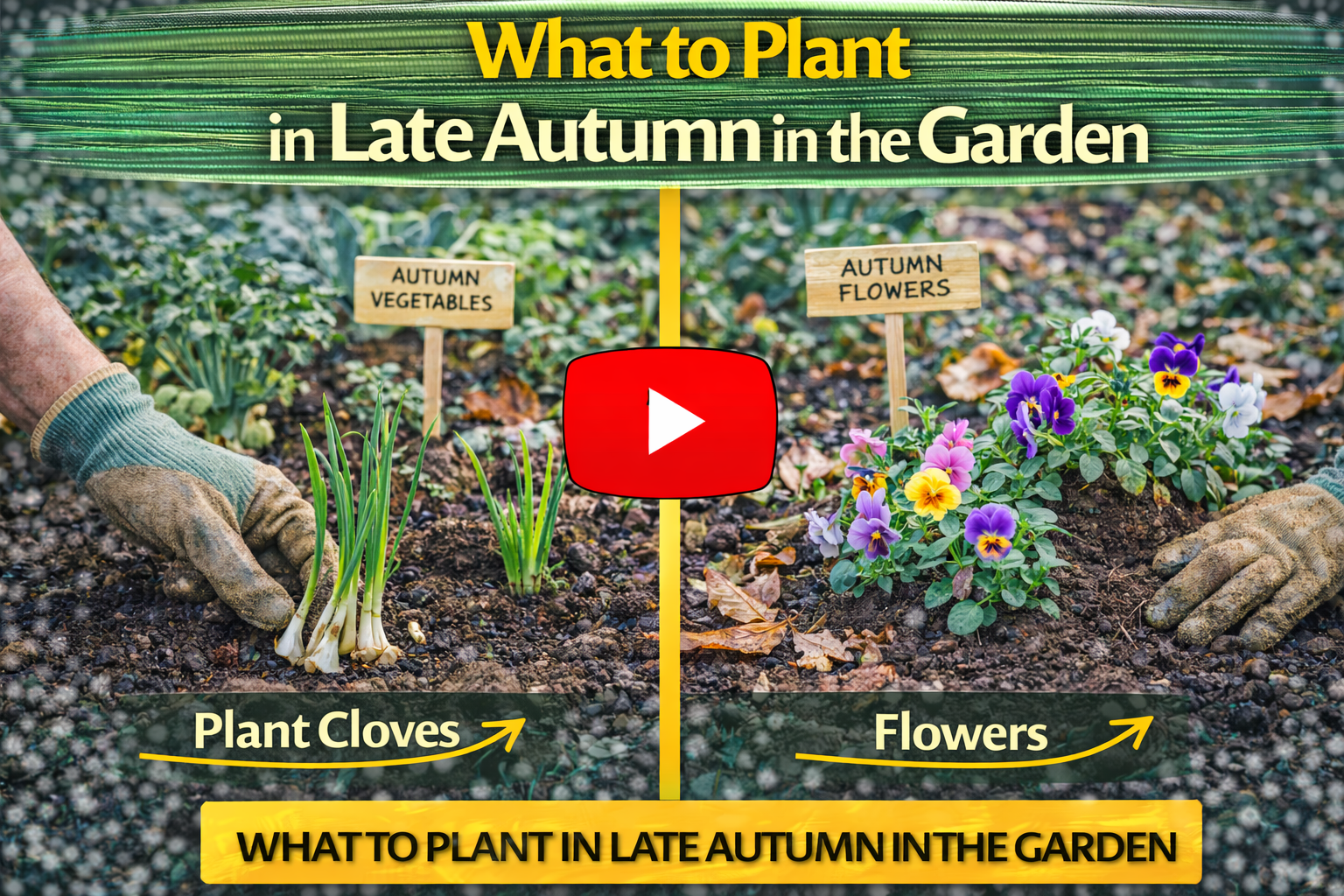 Video thumbnail for What to Plant in Late Autumn in the Garden