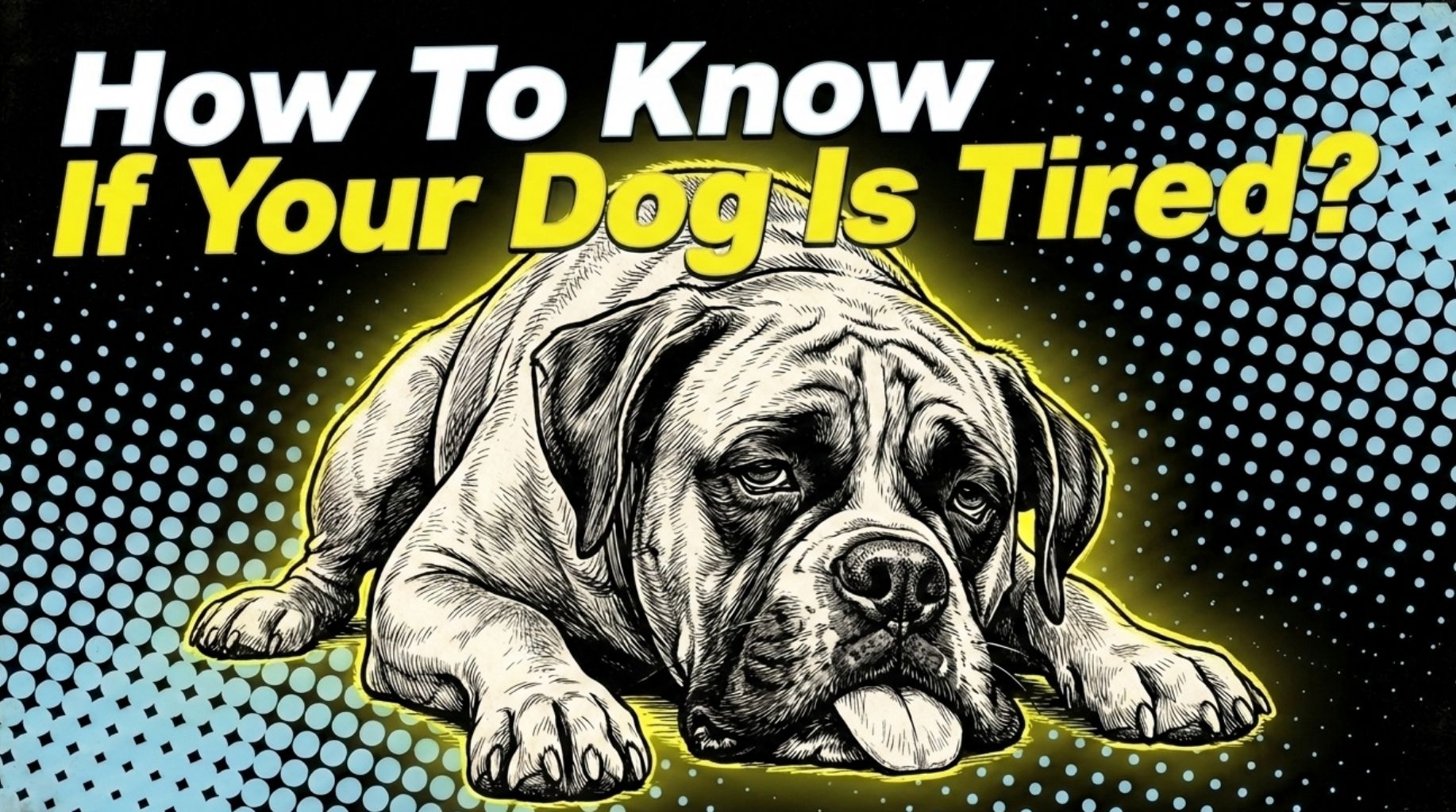 Video thumbnail for How To Know If Your Dog Is Too Tired?
