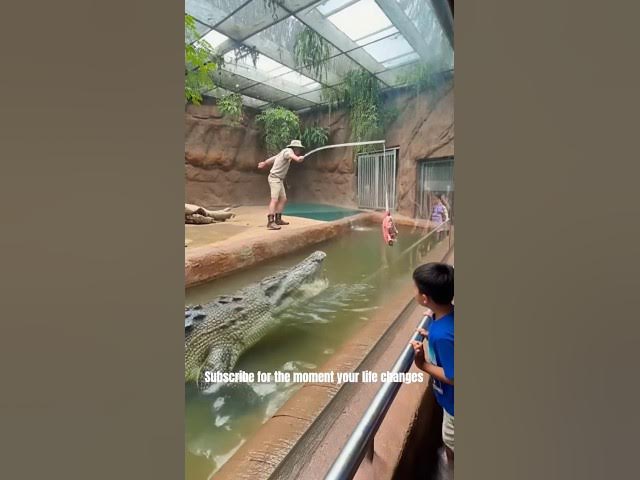 Video thumbnail for Crocodile Feeding Gone Wrong in Brisbane! 😱 #shorts