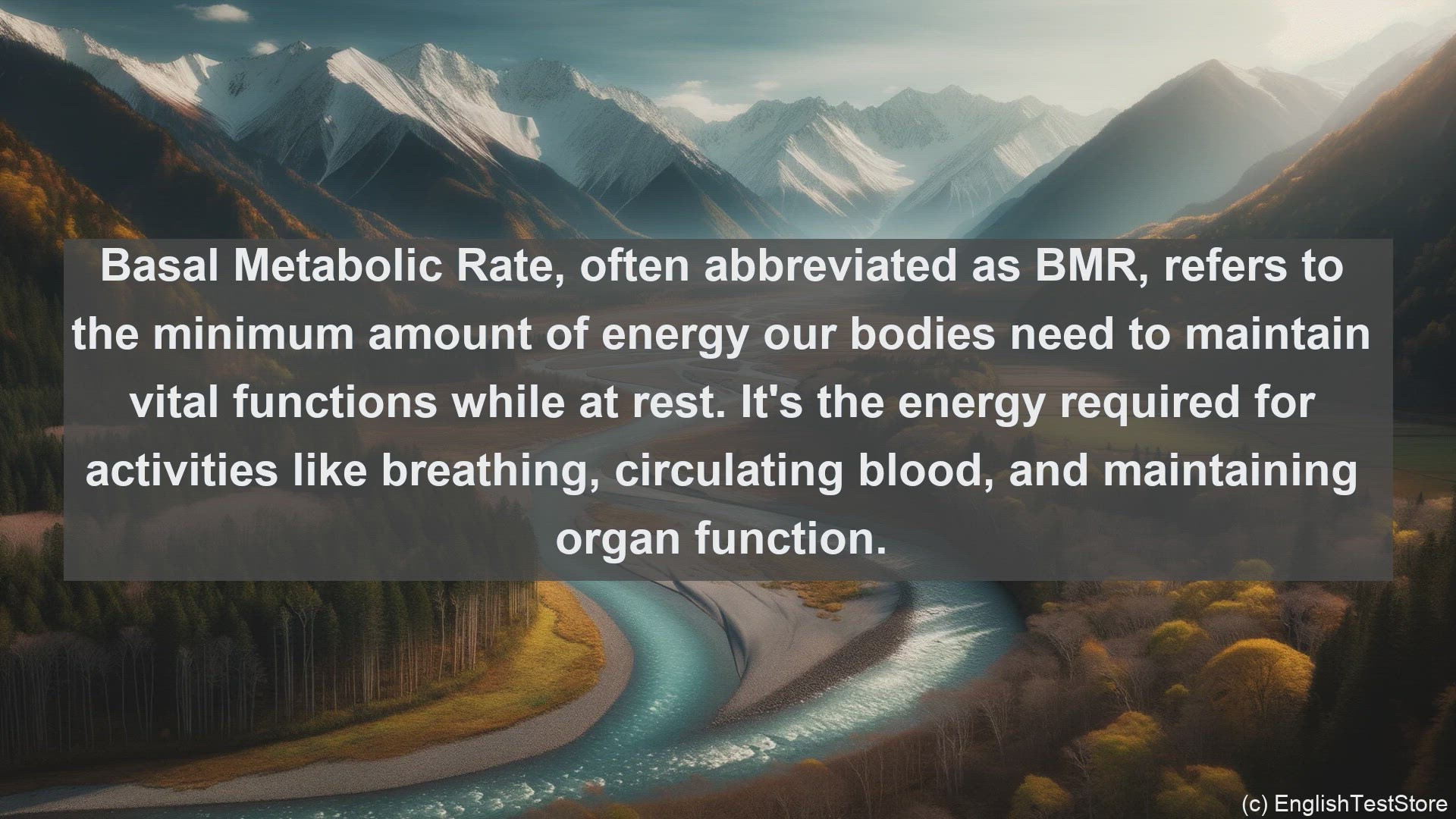 'Video thumbnail for Basal metabolic rate in science  definition and examples'